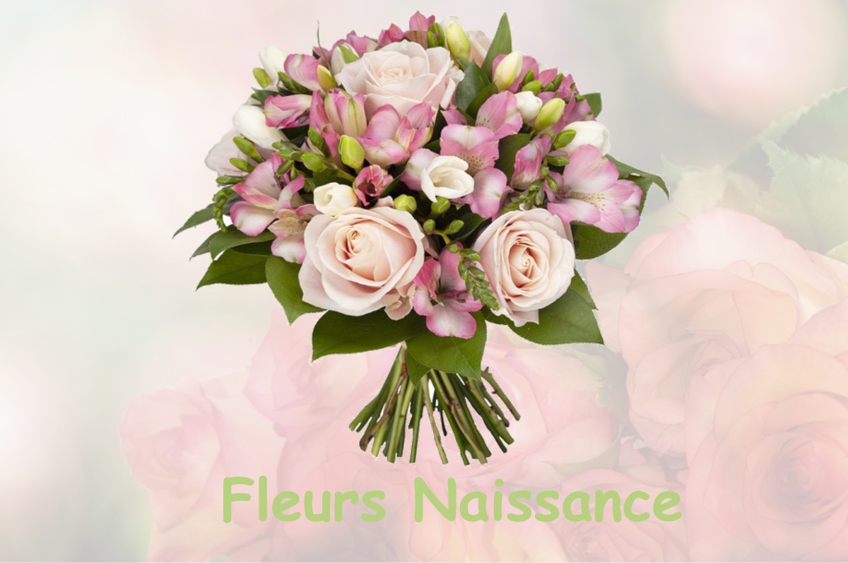 fleurs naissance CHAMILLY